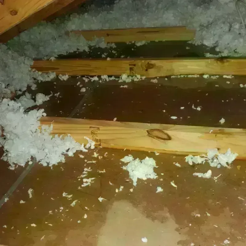 Attic Water Damage in Mount Sterling, OH