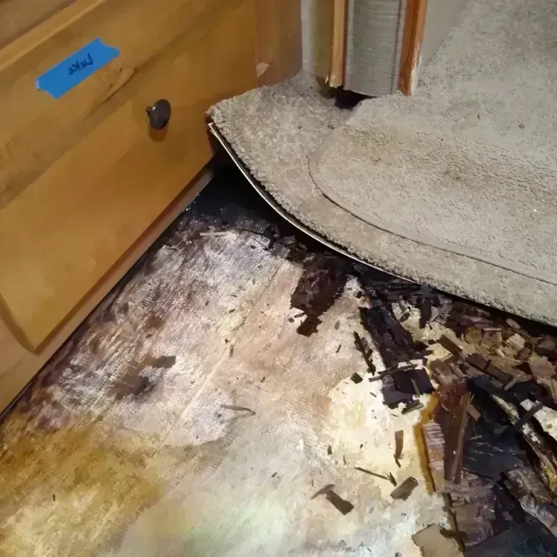 Wood Floor Water Damage in Mount Sterling, OH